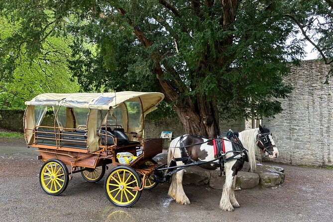 Jaunting Car Tour in Killarney National Park - Meeting Point and Pickup Information