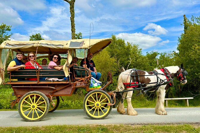 Jaunting Car Tour in Killarney National Park - Tour Highlights and Attractions