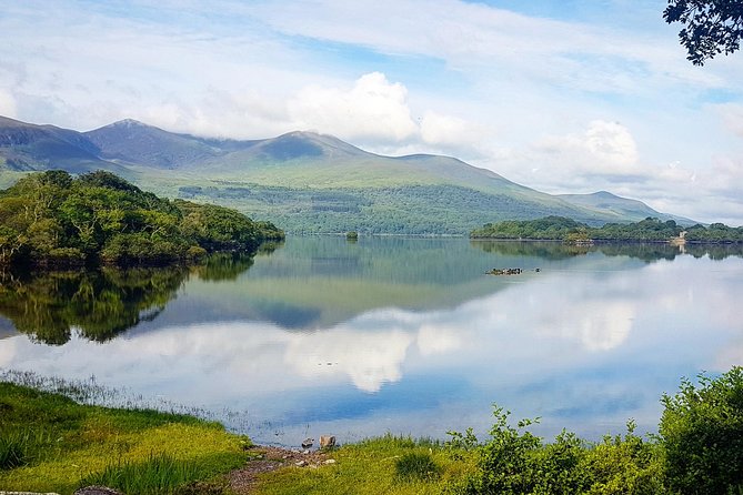 Jaunting Car Tour to Ross Castle From Killarney - Meeting and Pickup Details