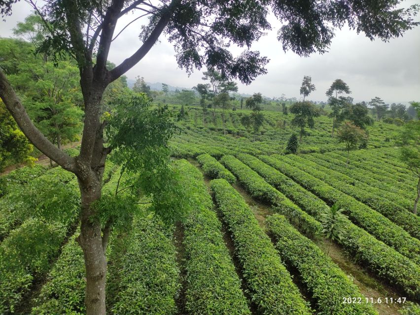 Java Classic Overland Tour - Key Points