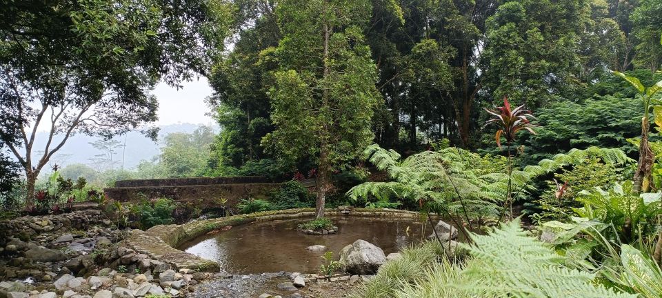 Javas Uncrowded Secret Natural Wonders: 2-D All Inclusive - Important Information
