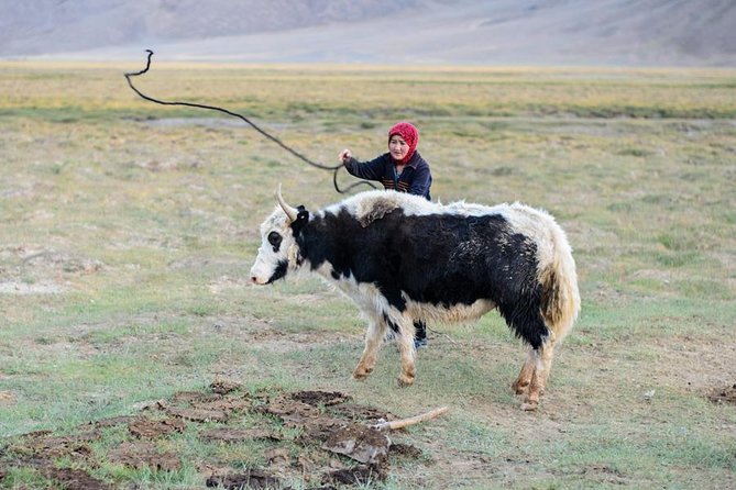 Jeep Adventure Through the Pamir Highway From Tajikistan to Kyrgyzstan - Essential Inclusions