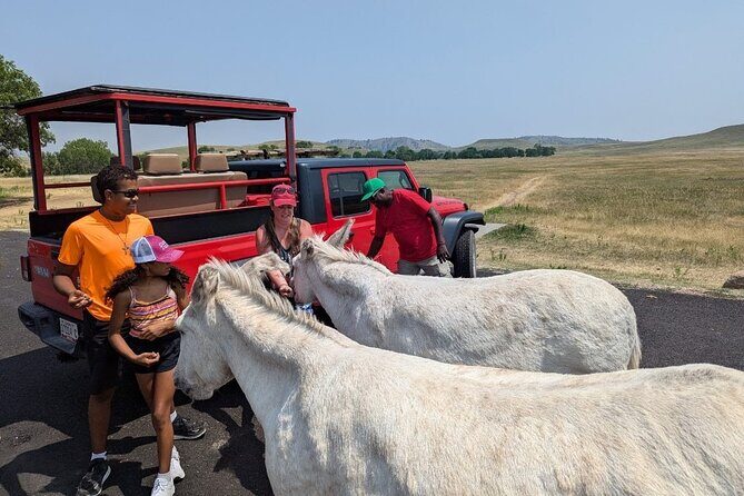 JEEP Bison Safari at Custer State Park - Family Friendly Prices - Final Thoughts