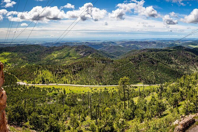 JEEP Bison Safari at Custer State Park - Family Friendly Prices - FAQs