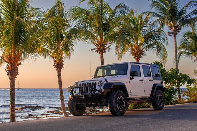 Jeep, Buggy, and Minivan Rentals in Cozumel - Discover Cozumel on Your Own Terms
