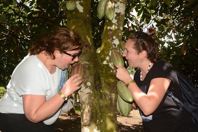 Jeep Jungle tour(Punta cana) - Final Thoughts: Is It Worth It?