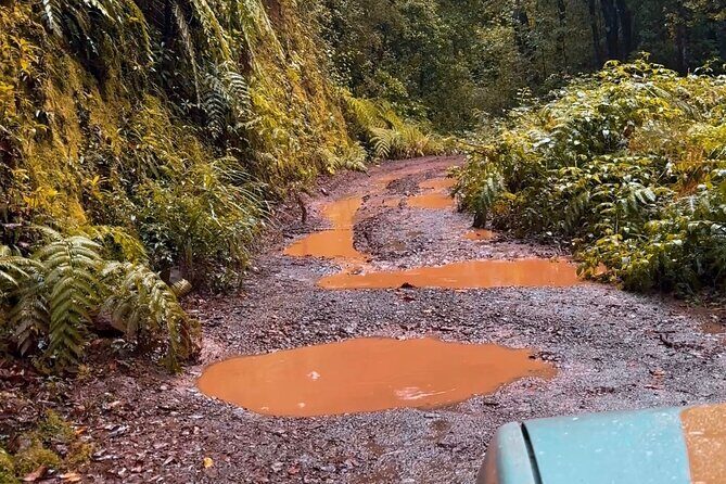 Jeep Safari 4x4 Madeira Pico areeiro, Santana, Ponta Sao Lourenço - FAQs