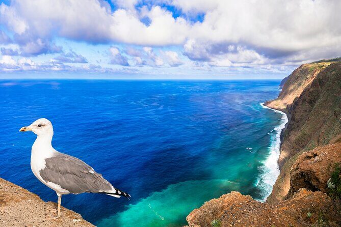 Jeep Safari in Southwest, Calheta and Ponta do Sol Full Day Tour - What the Reviews Say