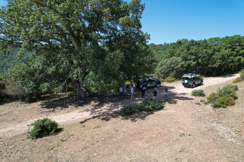 Jeep Safari in the Gargano National Park - Exclusive - Key Points