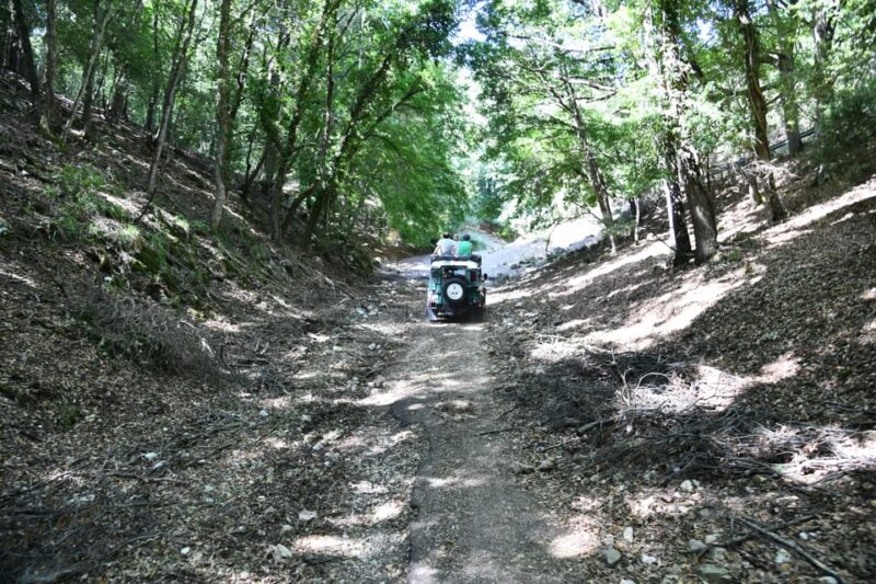Jeep Safari in the Gargano National Park - Booking and Availability