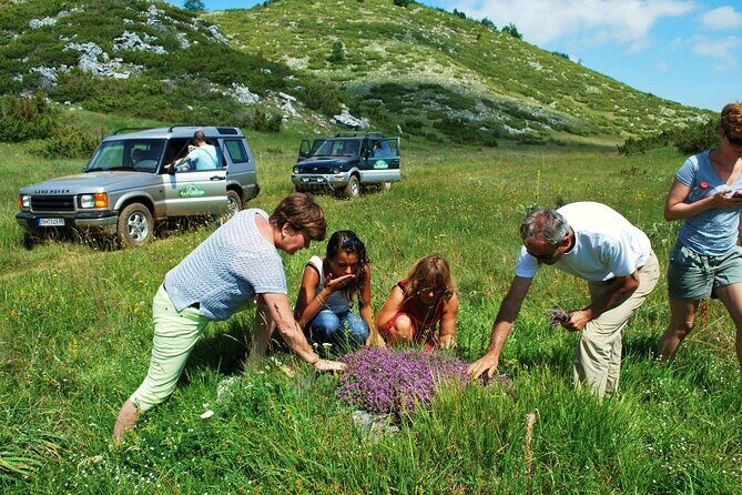 Jeep Safari National Park Galicica - FAQ