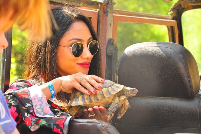 Jeep Safari to National Park From Kusadasi Port / Hotels - An Adventure into Kusadasi’s Natural and Cultural Gems