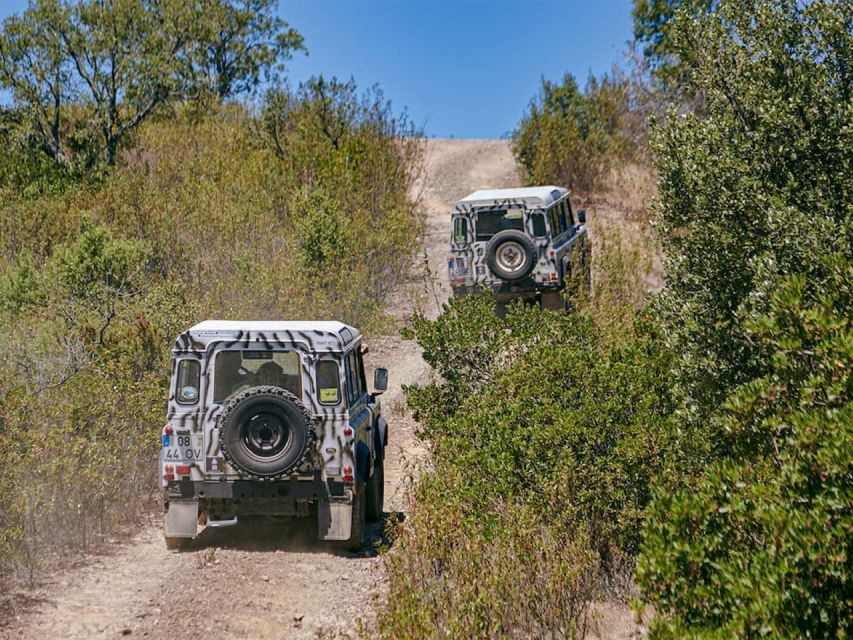 Jeep Safari Tour- Full Day - Exploring Algarves Interior