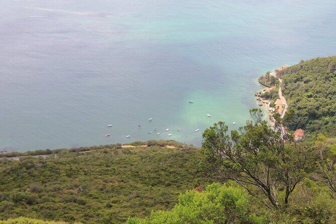 Jeep Tour through Arrábida Azeitão and Wine Tasting - A Deep Dive into the Jeep Tour Experience