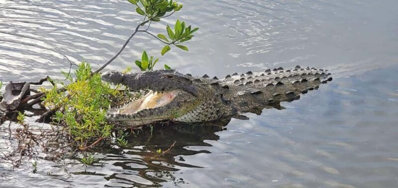 Jeep Tour to Punta Sur Eco Beach Park with Lunch - Key Points