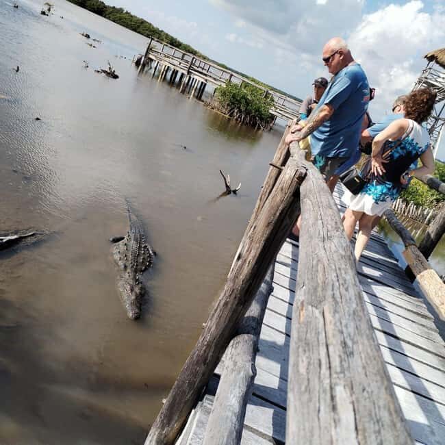 Jeep Tour to Punta Sur Eco Beach Park with Lunch - The Practical Details