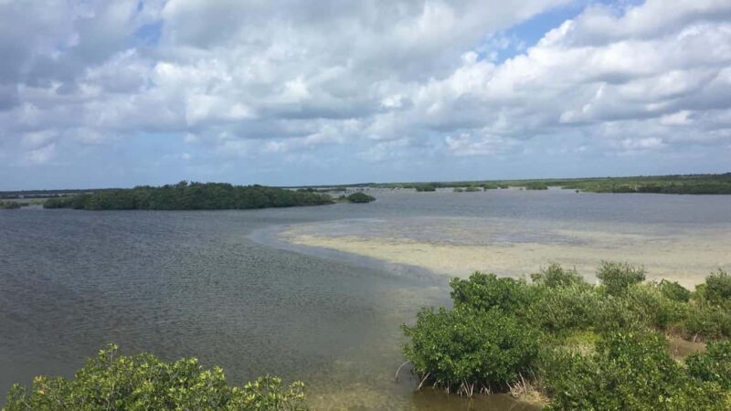 Jeep Tour to Punta Sur Eco Beach Park with Lunch - The Sum Up