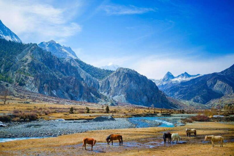 Jeep Trip to Upper Mustang - Transportation and Logistics