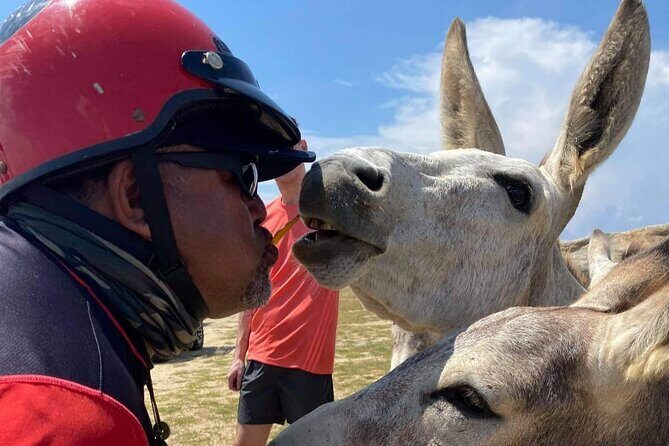 Jeep Wrangler Jk Hardtop 4 door - What to Expect on Your Aruba Adventure