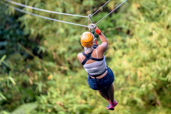 Jeep & Zip Safari St. Lucia From Castries - The Sum Up