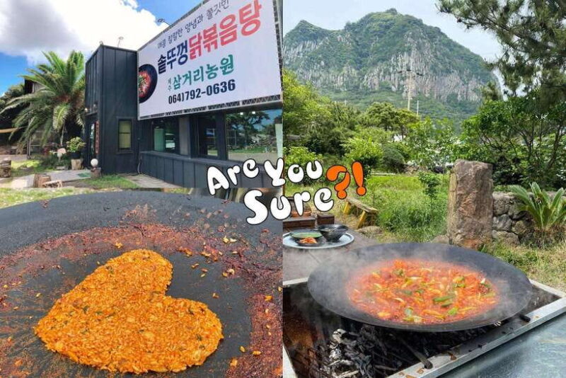 Jeju: BTS Are You Sure?! Filming Locations Private Taxi Tour - Key Points