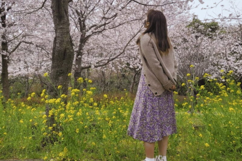 Jeju: Cherry Blossom South & West Day Tour with Hotel Pickup - The Sum Up