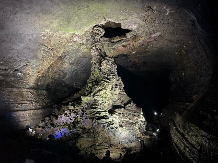 Jeju: Eastern Jeju Highlights Day Tour - Bijarim Forest