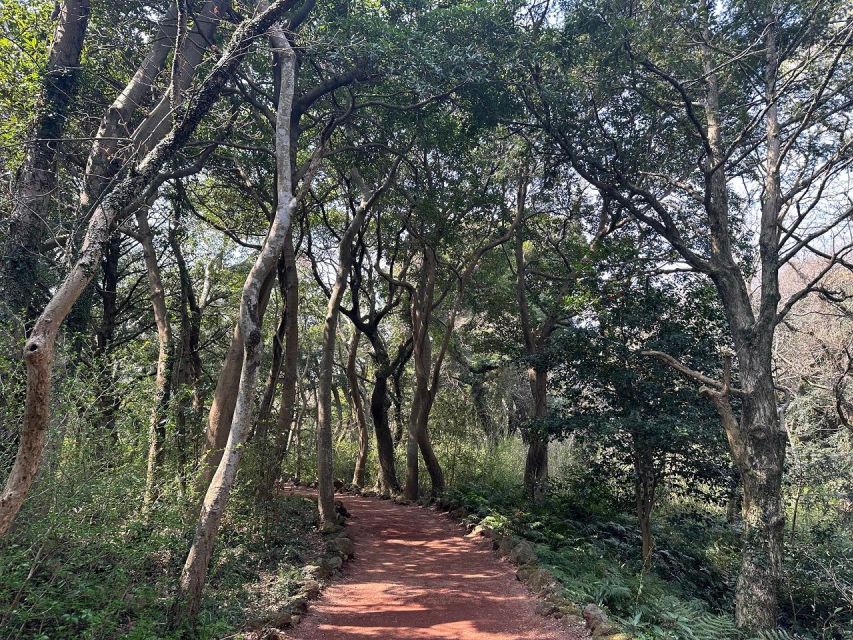 Jeju: Eastern Jeju Highlights Day Tour - Important Considerations