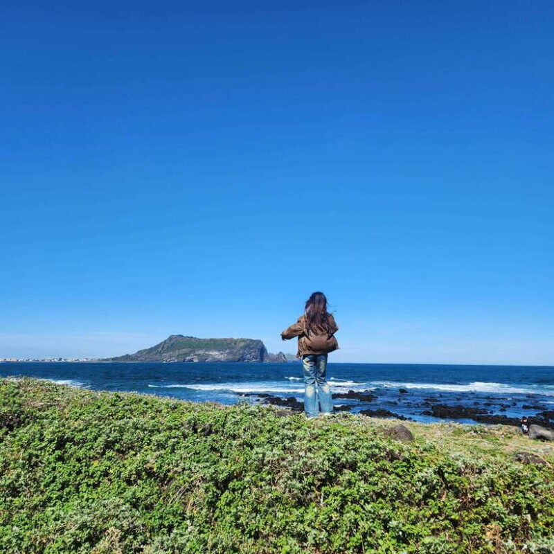 Jeju: Eastern Jeju UNESCO Spots Day Tour - Who Would Love This Tour?