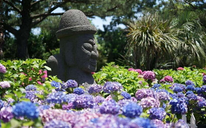 Jeju Hydragea Festival Tour : EAST Route - A Detailed Look at the Tour Experience