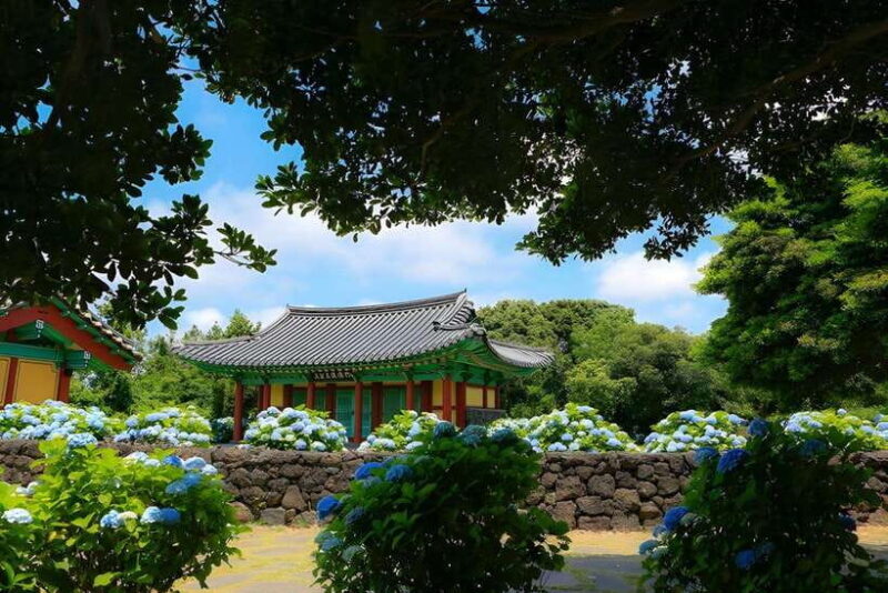 Jeju Hydragea Festival Tour : EAST Route - Value and Cost Analysis