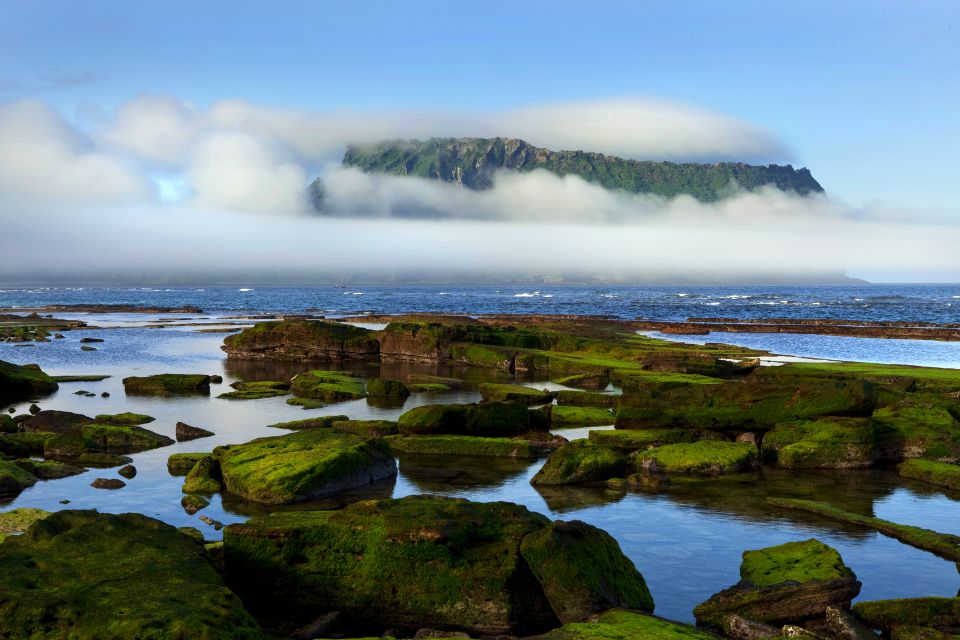 Jeju Island: Customized Private Full-Day Van Tour - Professional Guide