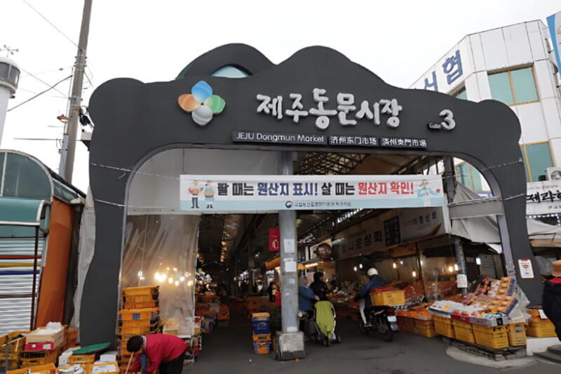 Jeju Island Day Tour for Cruise Ship Passengers - Potential Drawbacks or Considerations