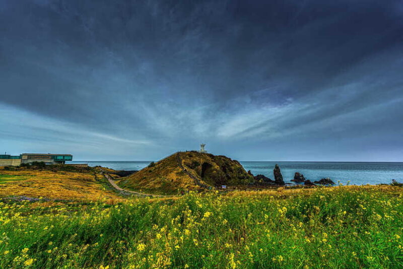 Jeju Island Day Tour for Cruise Ship Passengers - FAQs