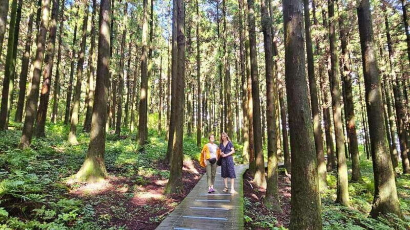 Jeju Island: Full-Day East Jeju Bus Tour with Entry Fees - The Overall Experience
