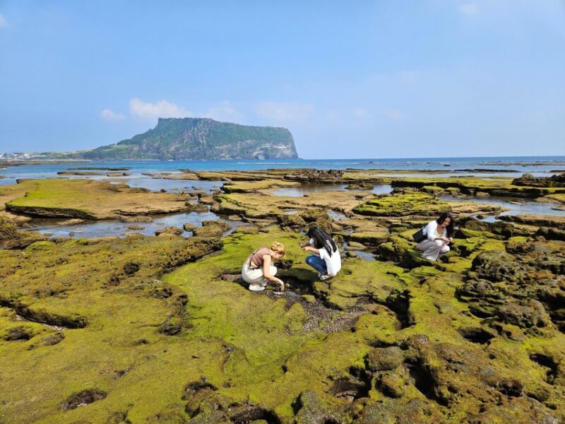 Jeju Island: Full-Day East Jeju Bus Tour with Entry Fees - The Practical Side: What Travelers Should Know
