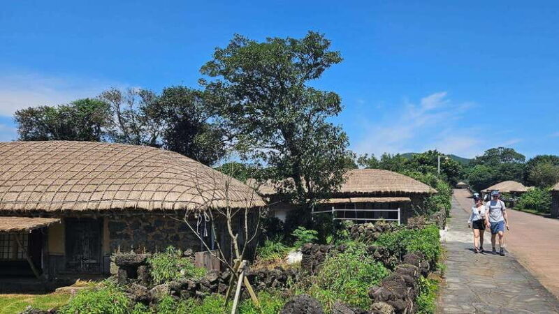 Jeju Island: Full-Day East Jeju Bus Tour with Entry Fees - Authentic, Well-Organized, and Friendly