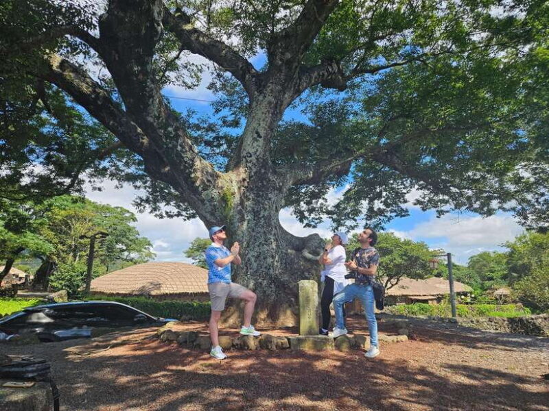 Jeju Island: Full-Day East Jeju Bus Tour with Entry Fees - Who Will Love This Tour?