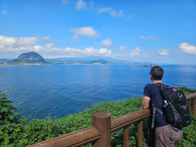 Jeju Island: Full-Day SouthWest Bus Tour with Entry Fees - The Sum Up