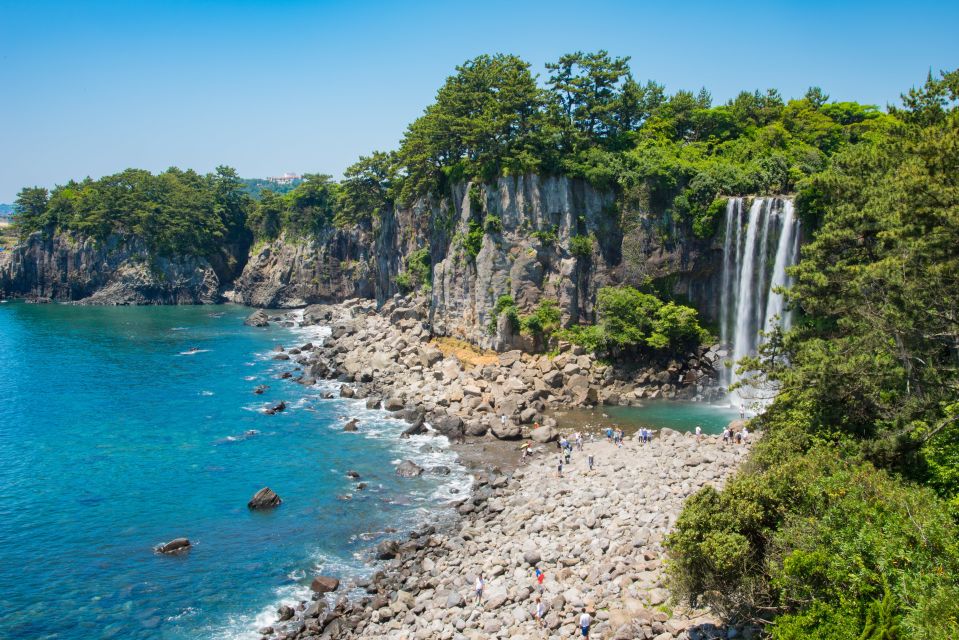 Jeju Island: Private Car Charter Tour - Customer Reviews and Ratings