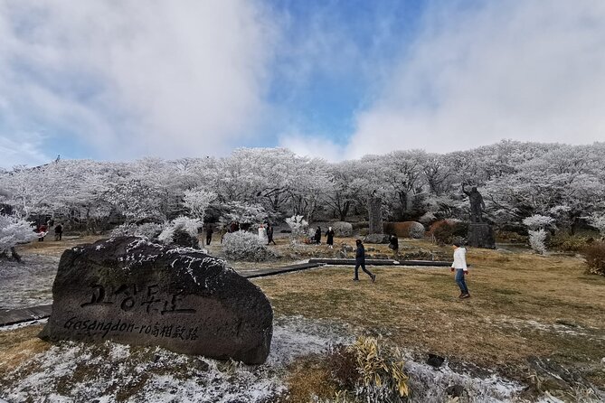 Jeju Island Private Tour - UNESCO Day Tour & Haenyeo Performance - Jeju Stone Park and Haenyeo Museum