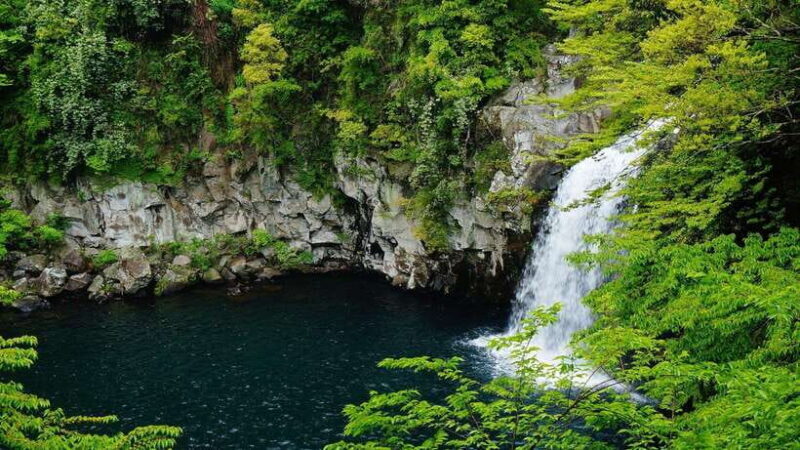 Jeju Island South Route One-day tour (optional attractions) - The Sum Up