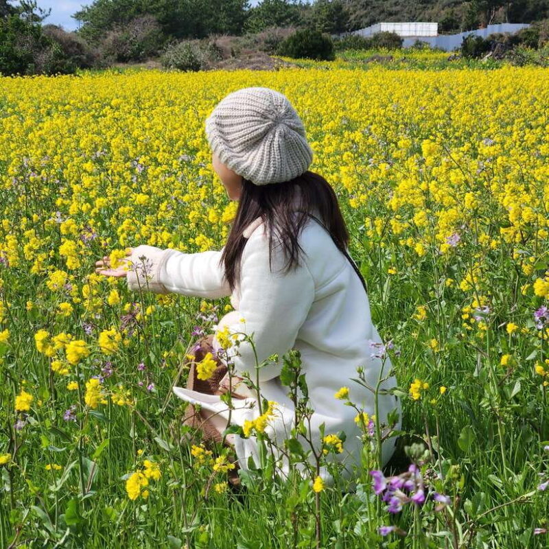 Jeju Island: Southern Top UNESCO Spots Tour - Final Thoughts