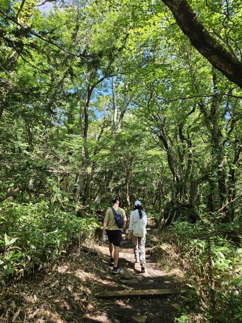 Jeju Island Southern UNESCO Day Tour With Lunch Included. - Alive Museum Jeju Visit