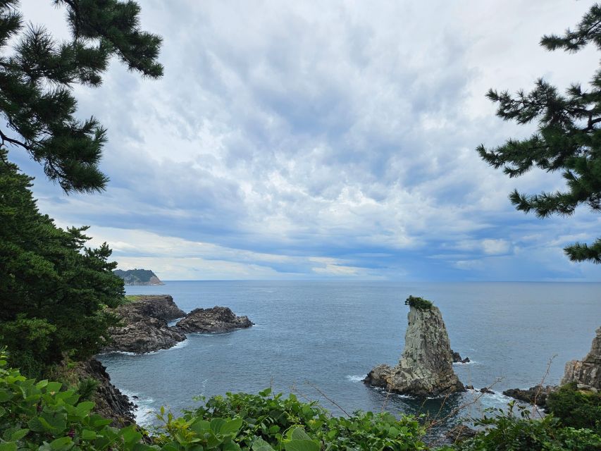Jeju Island Southern UNESCO Day Tour With Lunch Included. - Additional Tour Information