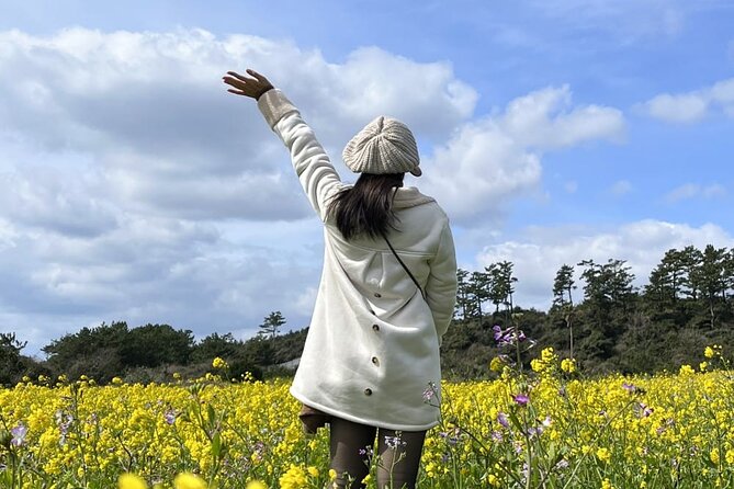 Jeju Island Southern Unesco Mt.Halla ONE Day Bus Tour - Inclusions and What to Expect