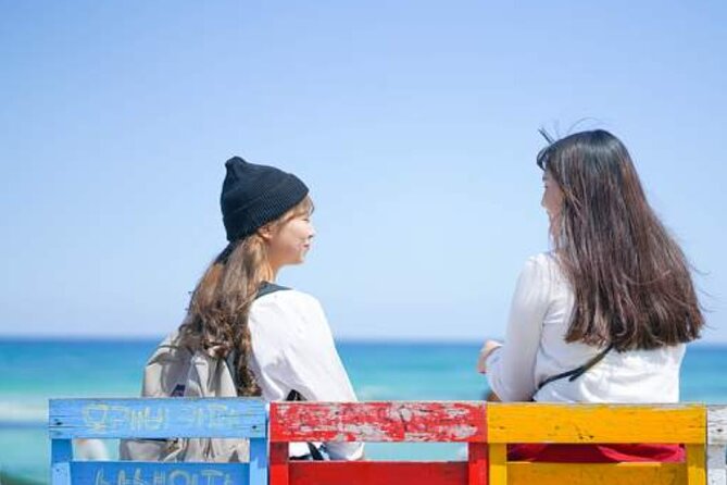 Jeju Island Taxi Join Tour - Transportation Details