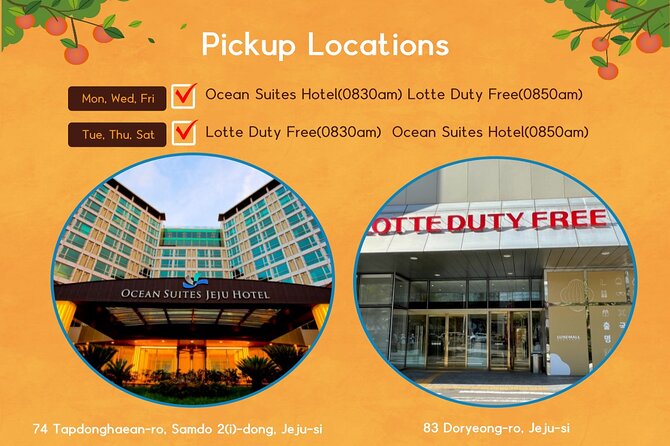 Jeju Island UNESCO Heritage Bus Tour - Booking and Cancellation Policy