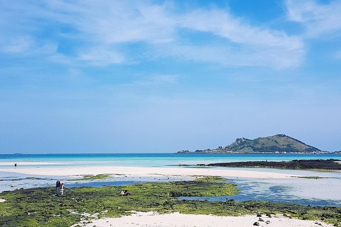 Jeju Island West UNESCO Day Tour With Lunch Included - Tea-Growing Culture
