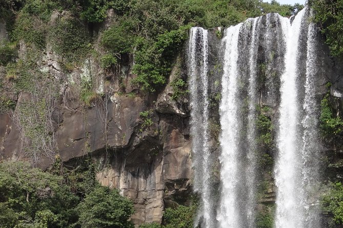 Jeju Island West UNESCO Day Tour With Lunch Included - Delicious Lunch
